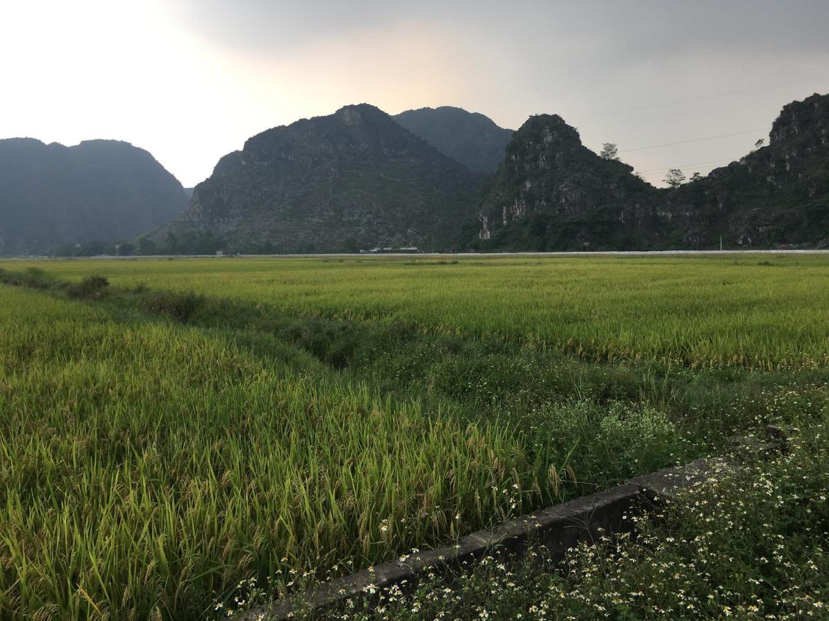 Limestone View Homestay Ninh Binh Dış mekan fotoğraf