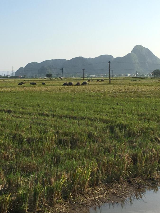 Limestone View Homestay Ninh Binh Dış mekan fotoğraf